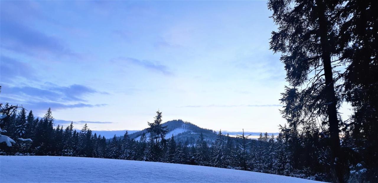 Horska Kvilda - Ubytovani U Chvalu Exterior foto